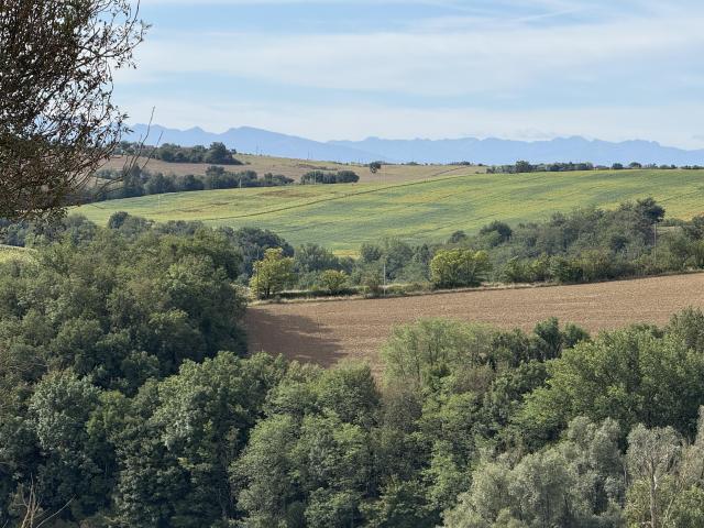 Maison vente à Toulouse, Lagarde