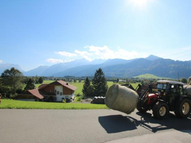 Grundstück kaufen in Vigaun, Salzburg