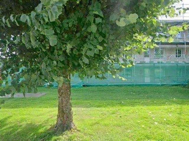 Lägenhet hyra i Uddevalla, Västra Götaland