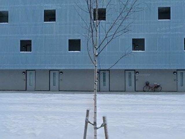 Lägenhet hyra i Umeå, Västerbotten
