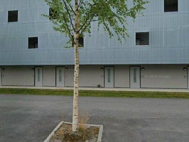 Lägenhet hyra i Tomtebo, Umeå