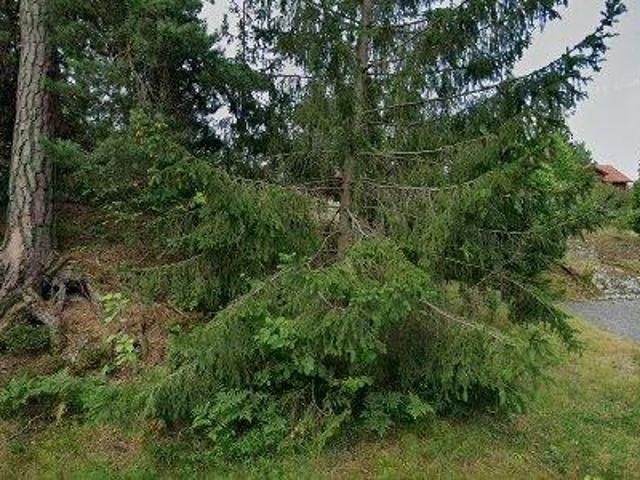 Hus hyra i Kolvik, Hemmesta