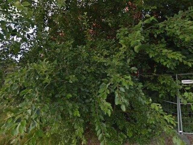 Lägenhet hyra i Växjö, Kronoberg