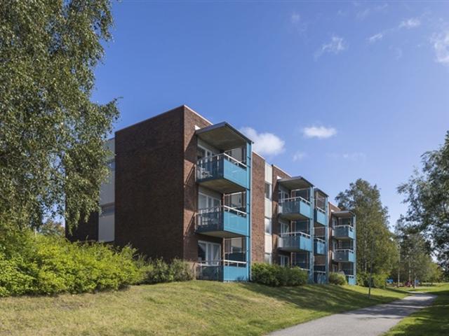 Lägenhet hyra i Umeå, Västerbotten