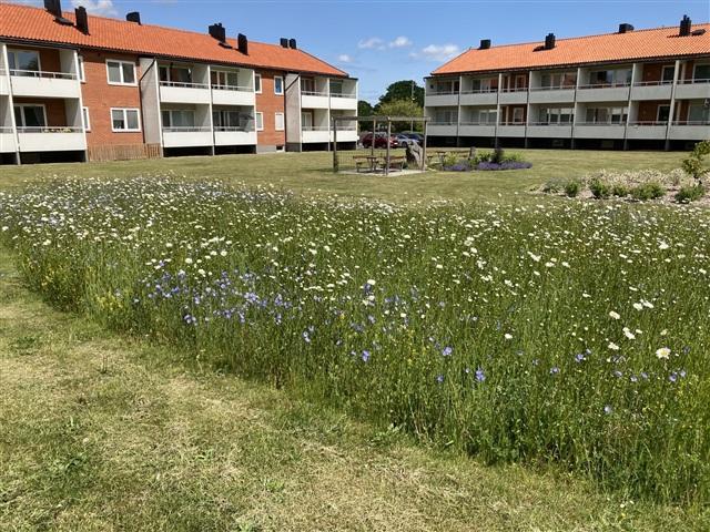 Lägenhet hyra i Hammenhög, Skåne