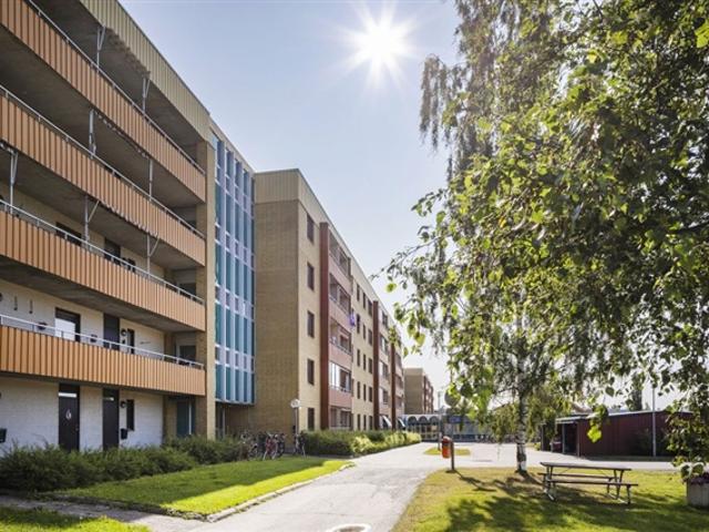 Lägenhet hyra i Skellefteå, Västerbotten
