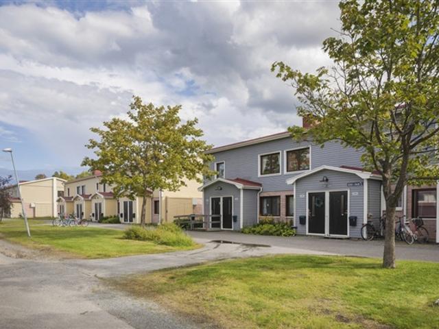 Lägenhet hyra i Skellefteå, Västerbotten