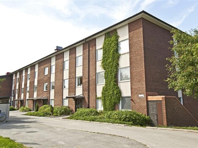 Lägenhet hyra i Umeå, Västerbotten