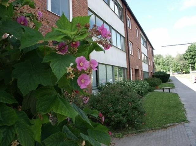 Lägenhet hyra i Södra Häggvik, Sollentuna kommun