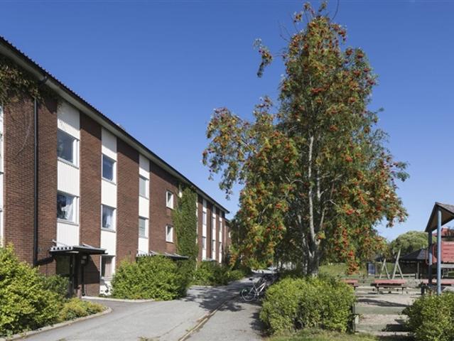 Lägenhet hyra i Umeå, Västerbotten