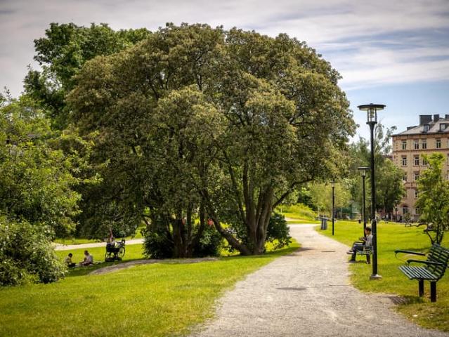 Lägenhet till salu i Stockholm