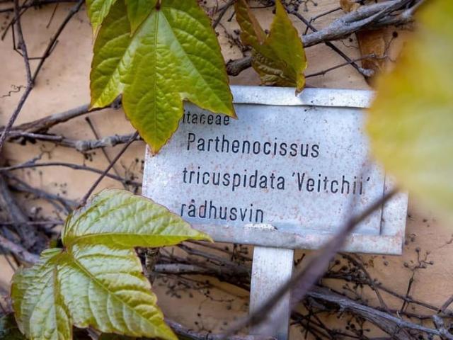 Lägenhet till salu i Upplands Bro, Stockholm