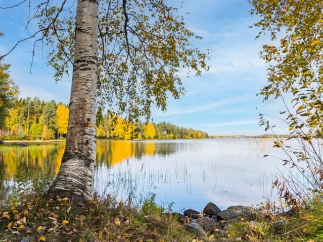 Lägenhet till salu i Umeå, Västerbotten
