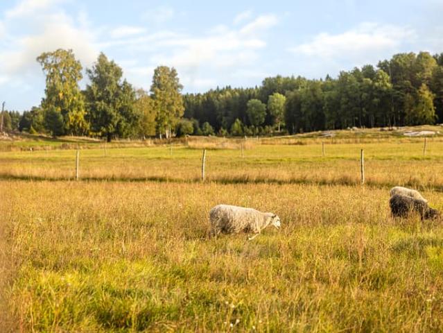 Lägenhet till salu i Haninge, Stockholm