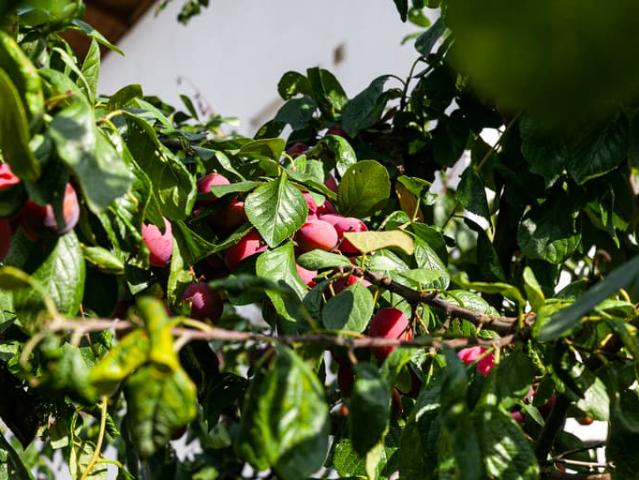 Lägenhet till salu i Höganäs, Skåne