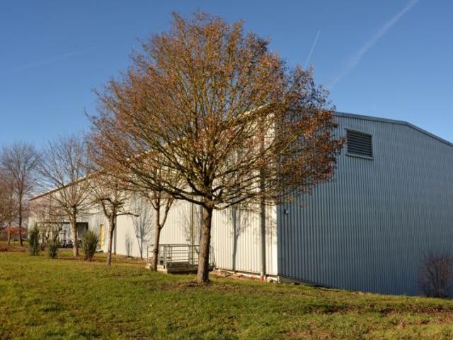 Gewerbe mieten in Essingen, Rheinland-Pfalz