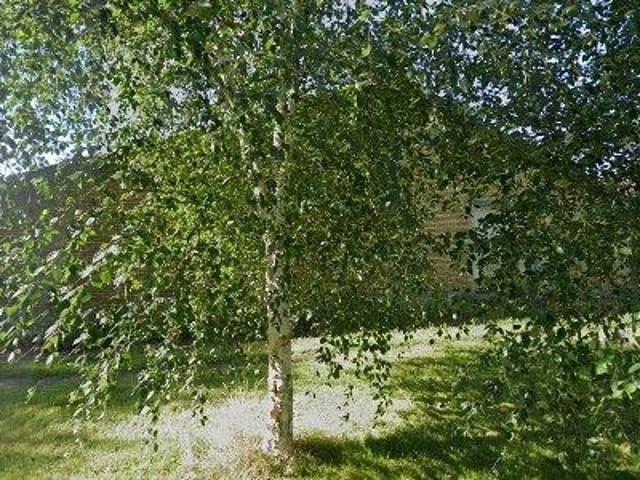 Erhvervsejendom til leje i Egtved, Vejle