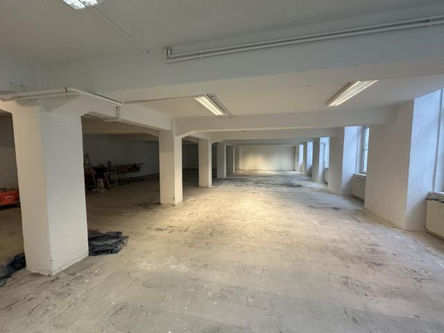 Gewerbe mieten in Seestadt, Wien