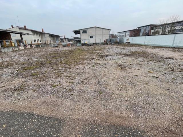 Erdgeschosswohnung mieten in Landau, Rheinland-Pfalz