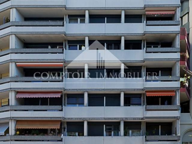 Atelier mieten in Carouge (GE)