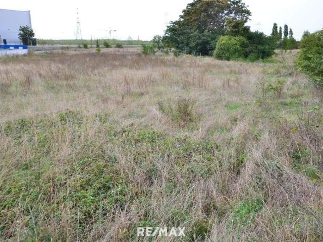 Gewerbe mieten in Bruck an der Leitha, Niederösterreich