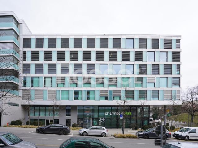 Industrie mieten in Nyon, Waadt