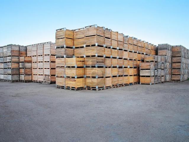 Industrie mieten in Grancy, Waadt
