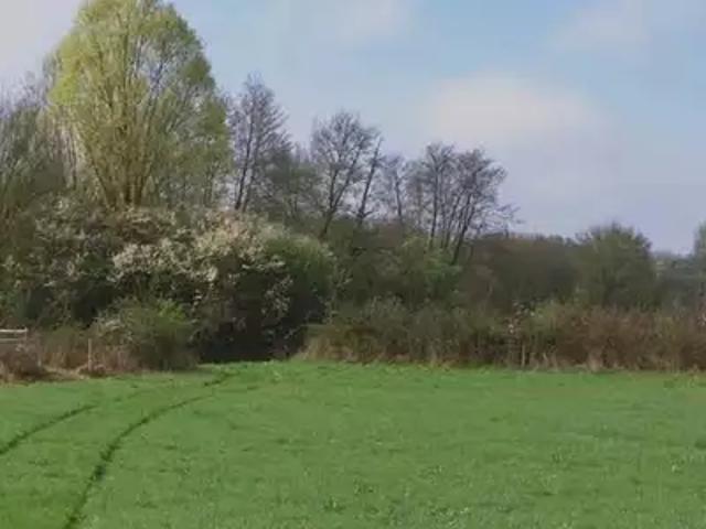 Terrain vente à Lagny-sur-marne