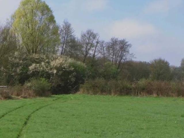Terrain vente à Lagny-sur-marne