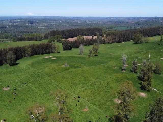 Terreno en venta en Valdivia, Los Ríos