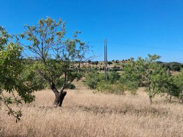 Terreno venda em Estômbar, Faro