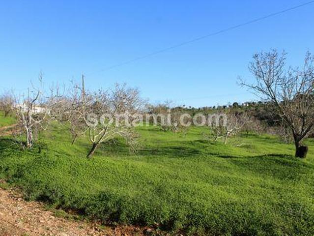 Terreno venda em Estômbar, Faro