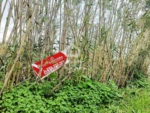 Terreno venda em Açores, Água De Pau