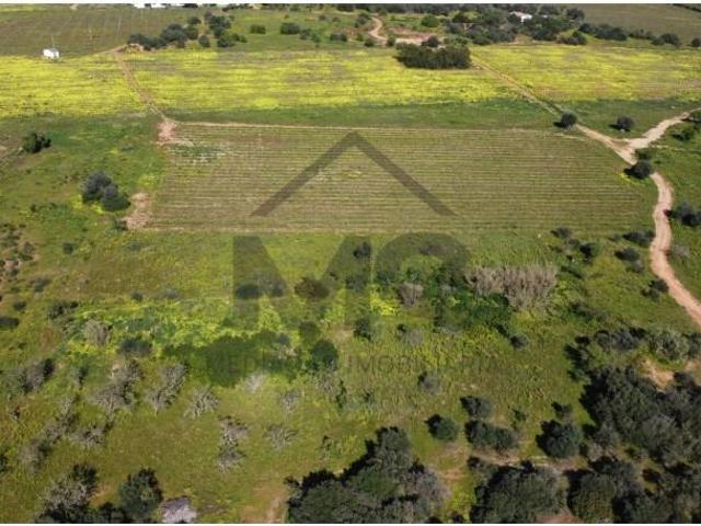 Terreno venda em Lagoa, Faro