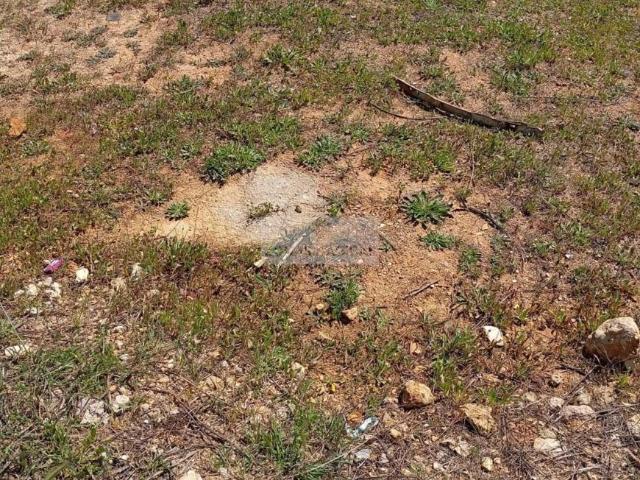 Terreno venda em Lagos, Faro