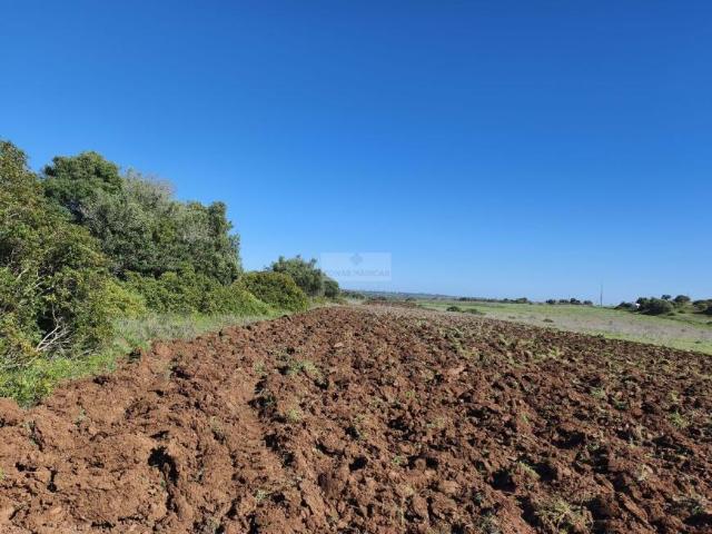 Terreno venda em Lagos, Faro