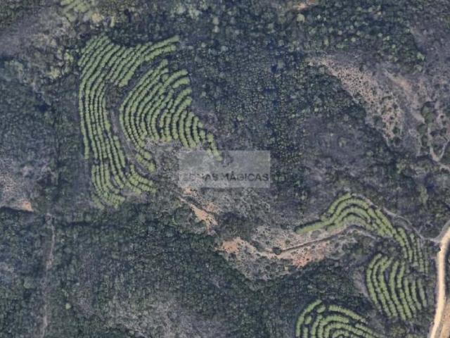 Terreno venda em Lagos, Faro