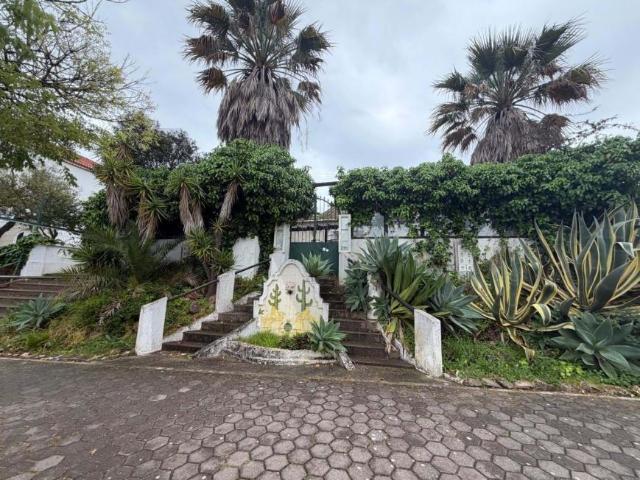Loja venda em Lagos, Faro