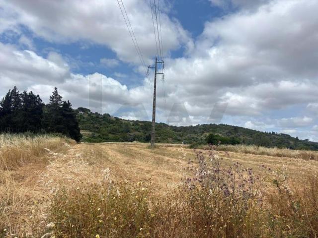 Terreno venda em Lagos, Faro