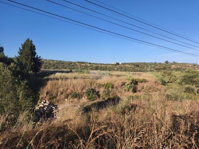 Terreno venda em Lagos, Faro