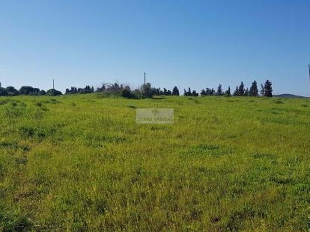 Terreno venda em Lagos, Faro