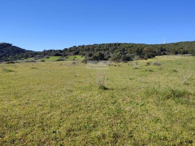 Terreno venda em Lagos, Faro