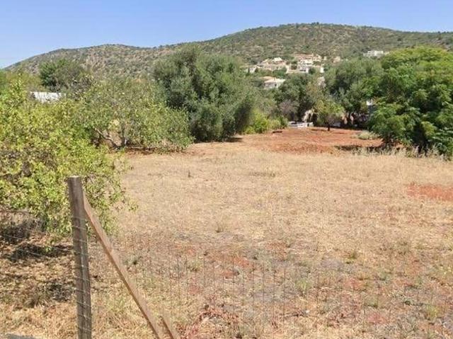 Terreno venda em Lagos, Faro
