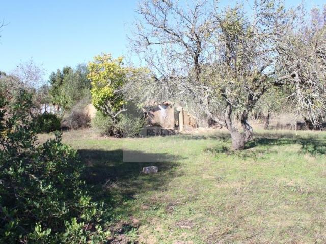 Terreno venda em Lagos, Faro