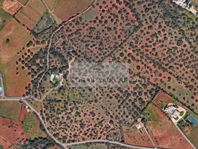 Terreno venda em Lagos, Faro