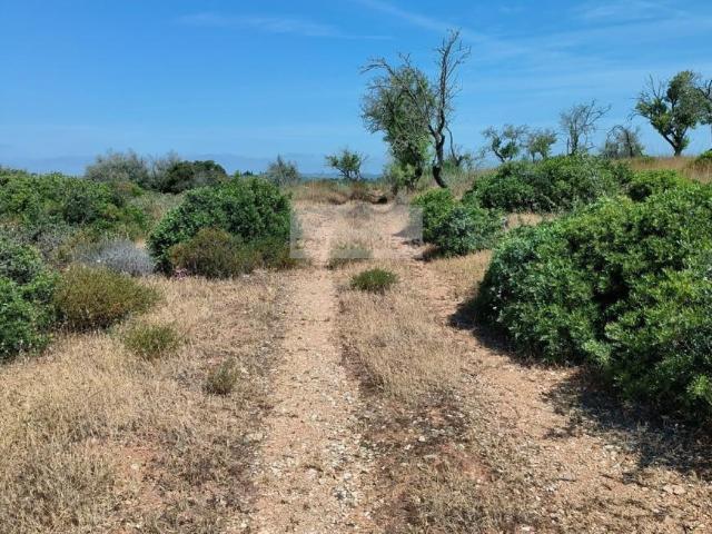 Terreno venda em Lagos, Faro