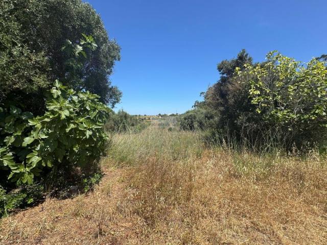 Terreno venda em Lagos, Faro