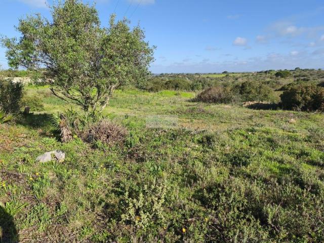 Terreno venda em Lagos, Faro