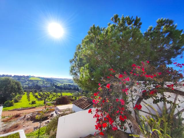 Apartamento alugar em Lagos, Faro