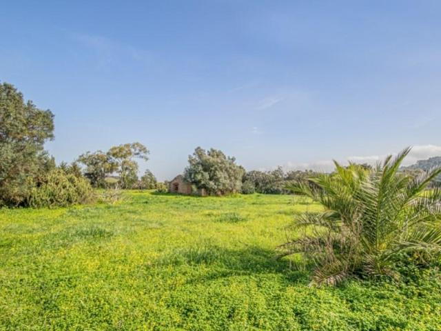 Terreno venda em Lagos, Faro